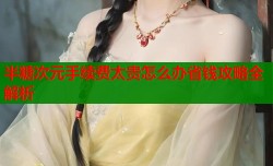 半糖次元手续费太贵怎么办省钱攻略全解析