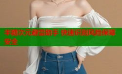 半糖次元避雷助手 快速识别风险保障安全