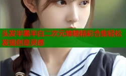 头发半黑半白二次元堆糖精彩合集轻松发现创意灵感