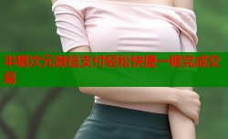 半糖次元微信支付轻松快捷一键完成交易