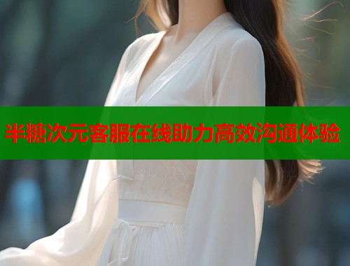 半糖次元客服在线助力高效沟通体验  第1张