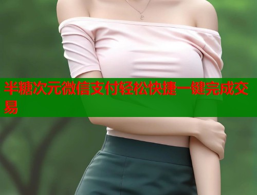 半糖次元微信支付轻松快捷一键完成交易  第1张
