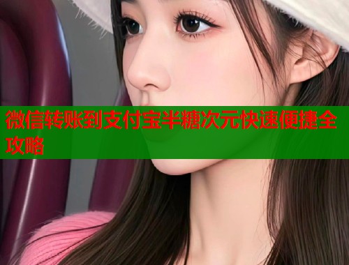 微信转账到支付宝半糖次元快速便捷全攻略  第1张